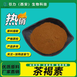 茶褐素20%-98%  色素原料 熟普洱茶提取物 引力生物 现货