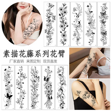 �羳�¿�ۻ��h�y���N�߼��кڰ׺��������ֱ��Ȳ��R�r�y���N��