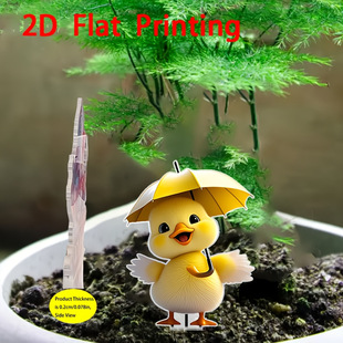 2Dƽ�� С�S�������S�う�����b���ɐ۵ĵز��m���ͥԺ