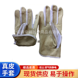 �iƤ������װ�Ƥ�����������ӷ��o�܇������o�m�������o�ֲ�