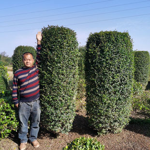 ����С�~Ůؑ�����N��ľ�������������l�r������ؑ���G�hֲ��