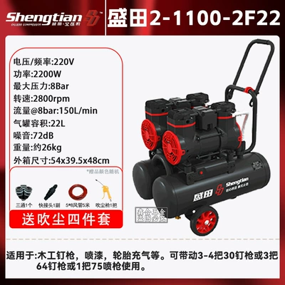 oil-free high pressure 150 air – Hava kompressorları - shengtian-22l-air-pump-1100wx2