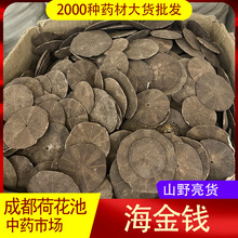 �����X�����X Ұ�� ���X�� ��Ʒ��؛500�˰��]�����r�aƷ