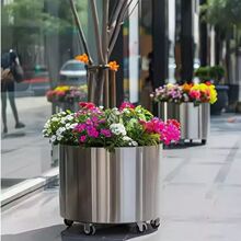 �����̨���⻨��M�ϻ������ۻ���ͥԺ���P����⾰�^���λ���