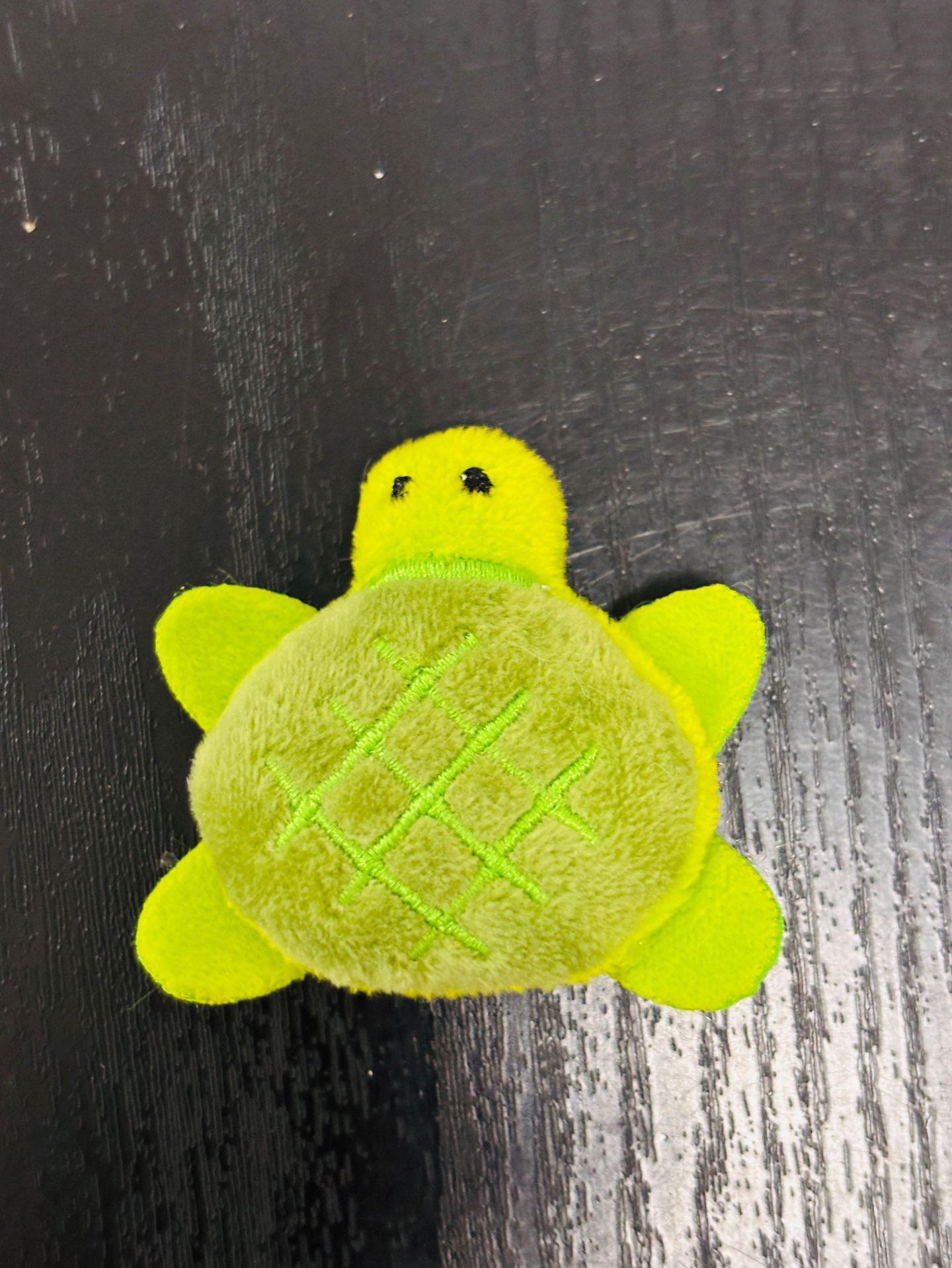 Little turtle