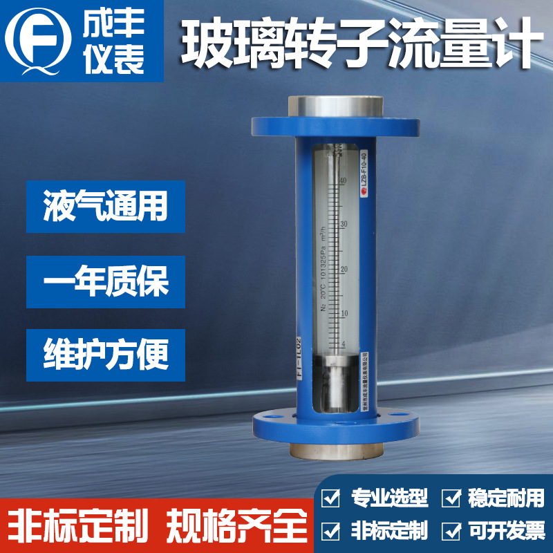 F10-50玻璃转子流量计 浮子流量计304不锈钢接头测气体液体好