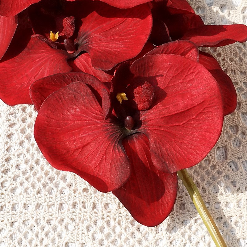 O1CN01Cs0W3f1s540jsokZk_!!4036