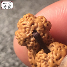 ��ƷС����������108�w��Ů�����ִ�÷���p����C�p���P���y����