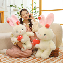 �ɐ�Ģ������ż��Ģ�����ӱ����L������ë�q��߃�ͯ������˯���