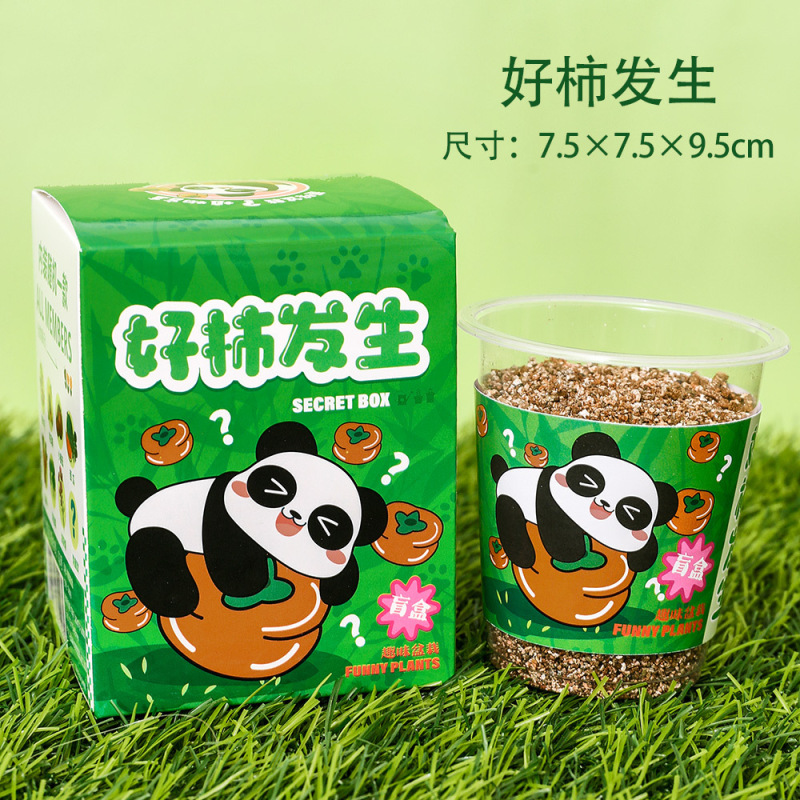 可爱熊猫种植盆栽盲盒桌面植物小摆件幼儿园手工花卉种植小盆栽|undefined