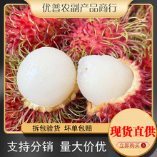 �të�����r����ˮ��5������ë��֦ë�����tĵ��̩���Ꭷ�ЋDˮ��