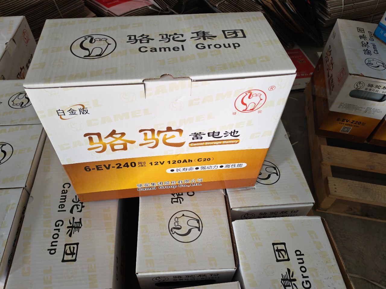 骆驼蓄电池 6-EV-240型12V120AH电动三轮车四轮车环卫车巡逻车