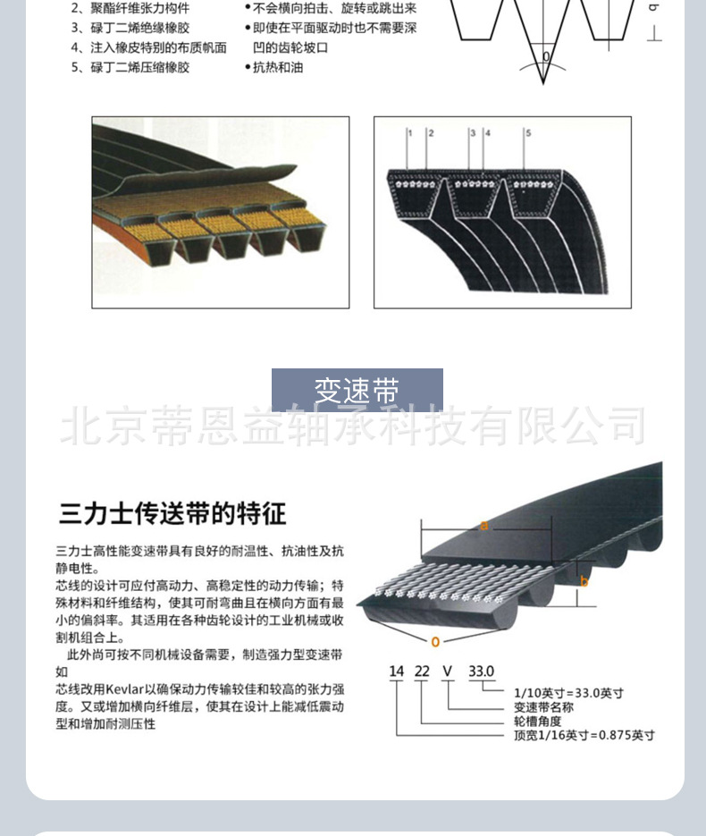 普通带A_08