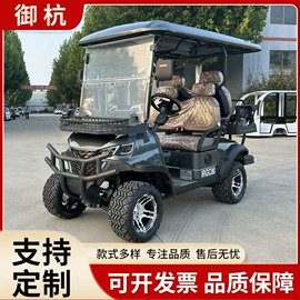 电动观光车;高尔夫球车;其他电动车