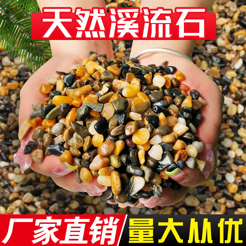 Natural cobblestone fish tank bed pebbles floor heating backfill pebbles substation water treatment filter material Stone Natural cobblestone fish tank bed pebbles floor heating backfill pebbles substation water treatment filter material Stone