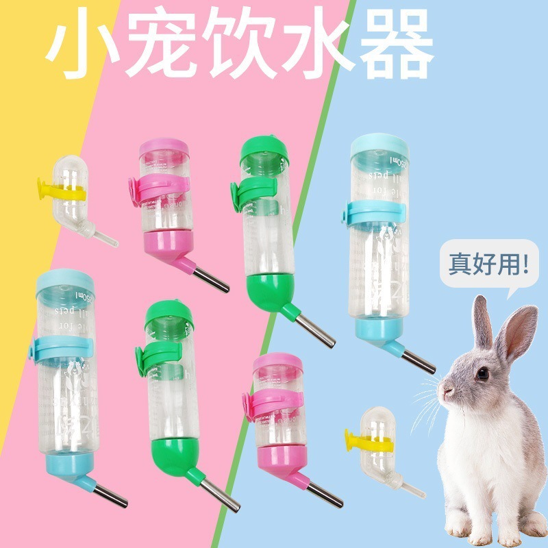 Hámster de conejillo de indias bebiendo agua de oso de oro