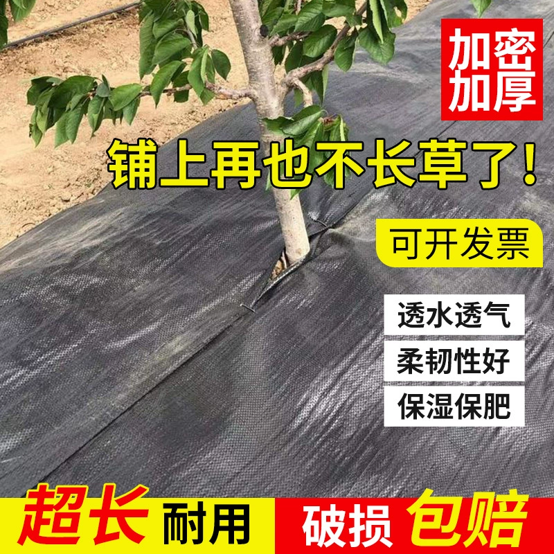 Противотравная ткань Противотравная ткань Ткань сарай Сад 90 г Покрытая травяную ткань УФ Противостарение прополка ткань цветы