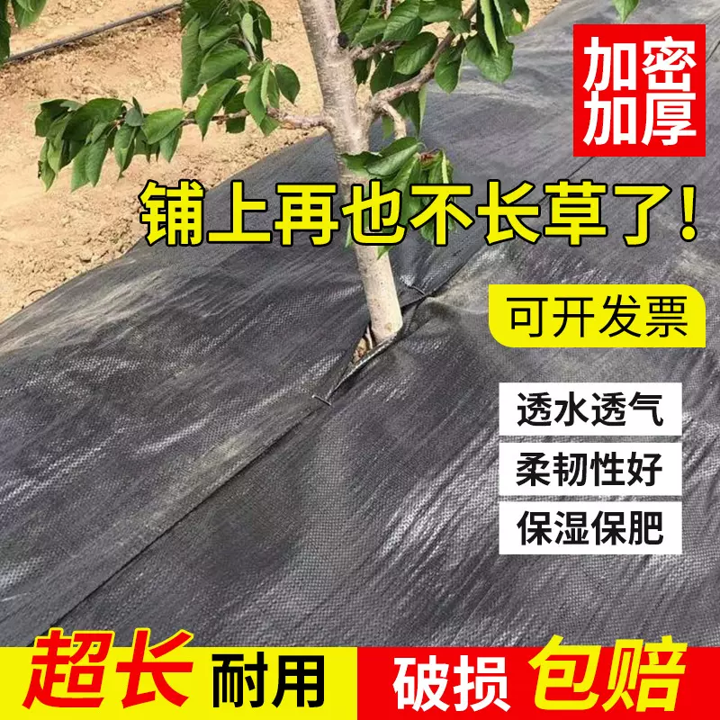防草布除草布大棚园林90g遮草布UV抗老化除草布 花卉打孔防草布