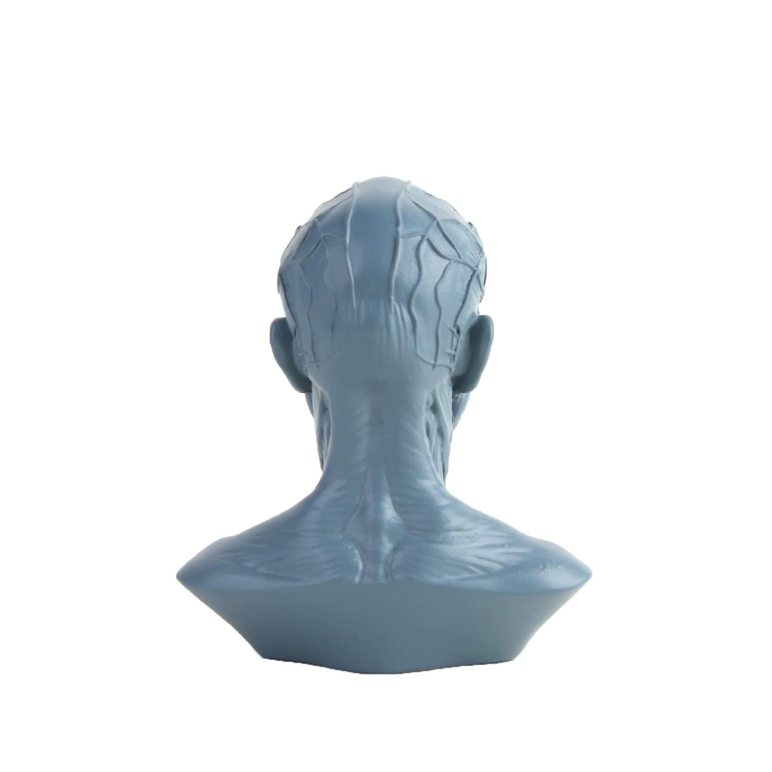 Art Painting Sketch Material Teaching Medicine Moom Human Model Reference Resin Crafts Human Model