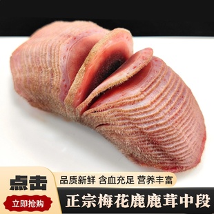 �ݾ�һ���жΎ�Ѫ÷����¹��������¹��¹��g���r¹��Ƭ