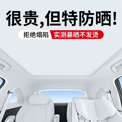 Suitable for Jihu T1 Alpha S5 T5 T6 Koala S Electrostatic Adsorption Sunroof Heat Insulation Sunshade Curtain