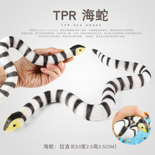 �羳�������Є���ģ��TPR����ܛ�z����������k���M������ߔ[��