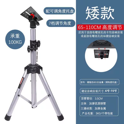Electric car big tripod, tripod Roland EX floor-standing - silver-601-all-metal-with-adjustable-angle-tray