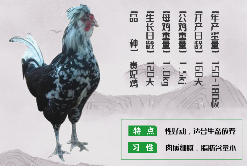 阿里-描述-12.jpg