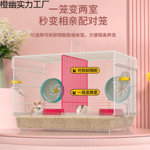 2025���s���õĻ��A�\�\�ӸߵױP���F�\�ӄe���}���̖�¿�๦��