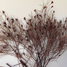 鲜花花艺制品;永生花;干花