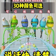 ��Ƥ�W�^���B���fԒ���W�^���B���^������w���B���P����ĵ���^�p