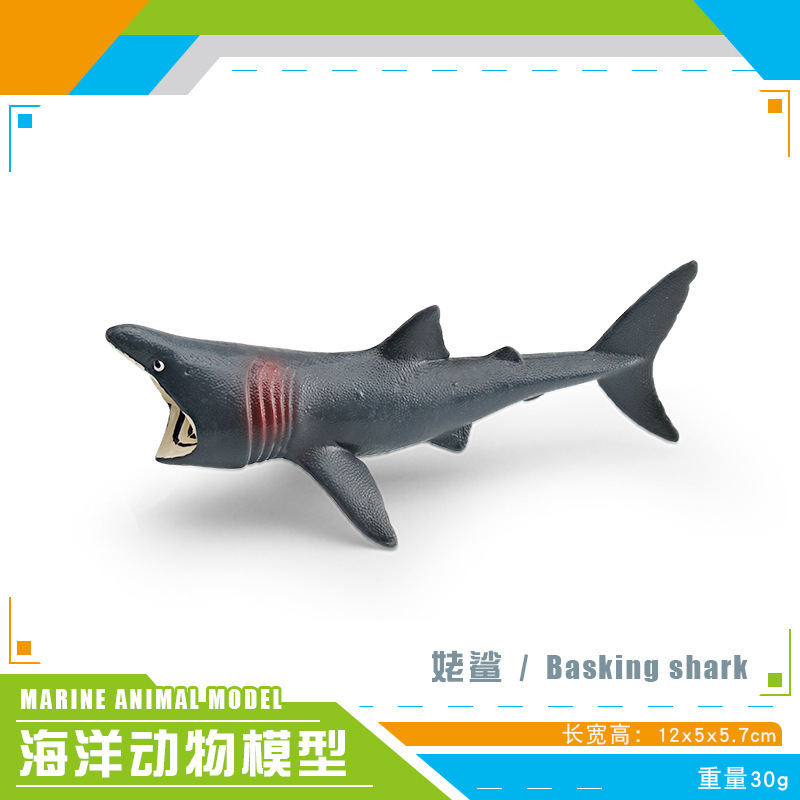 Simulación transfronteriza modelo de animales marinos cognitivo infantil tiburón ballena azul calamar ballena jorobada delfín decoración estática
