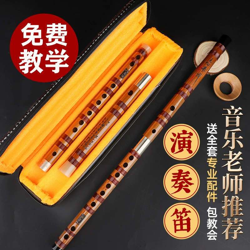 Professional base musical instruments for beginners for adults for students
