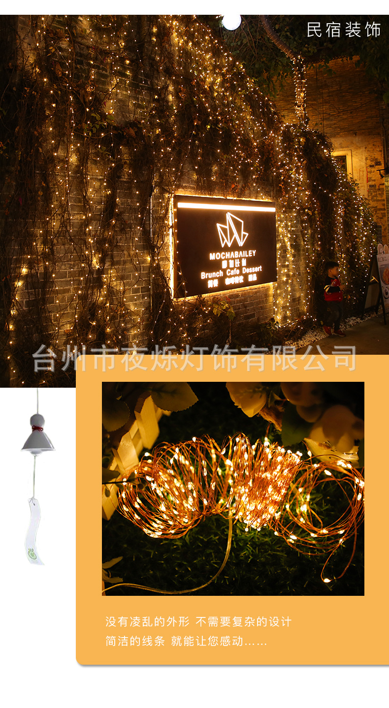 太阳能铜线灯_13.jpg?x-oss-process=image/format,png