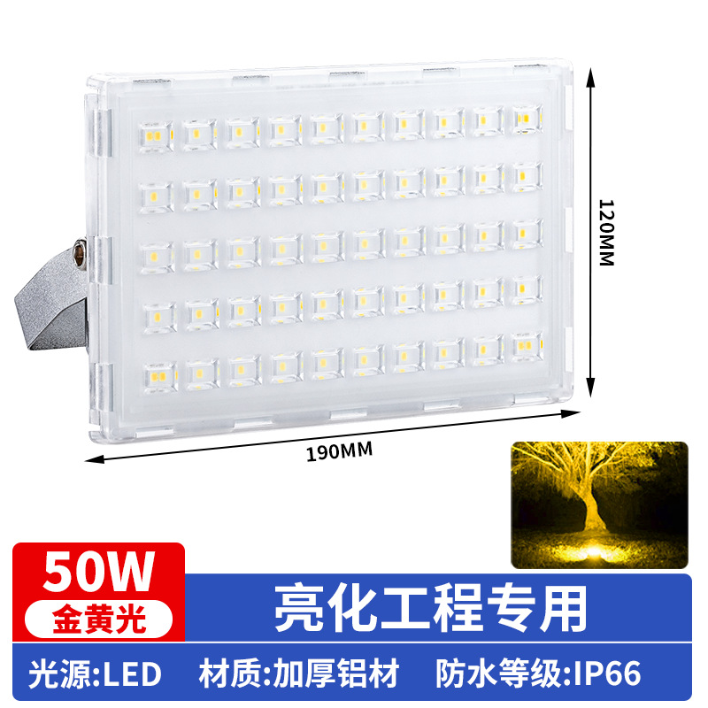 Monochrome golden light [50w] lighting project special lamp