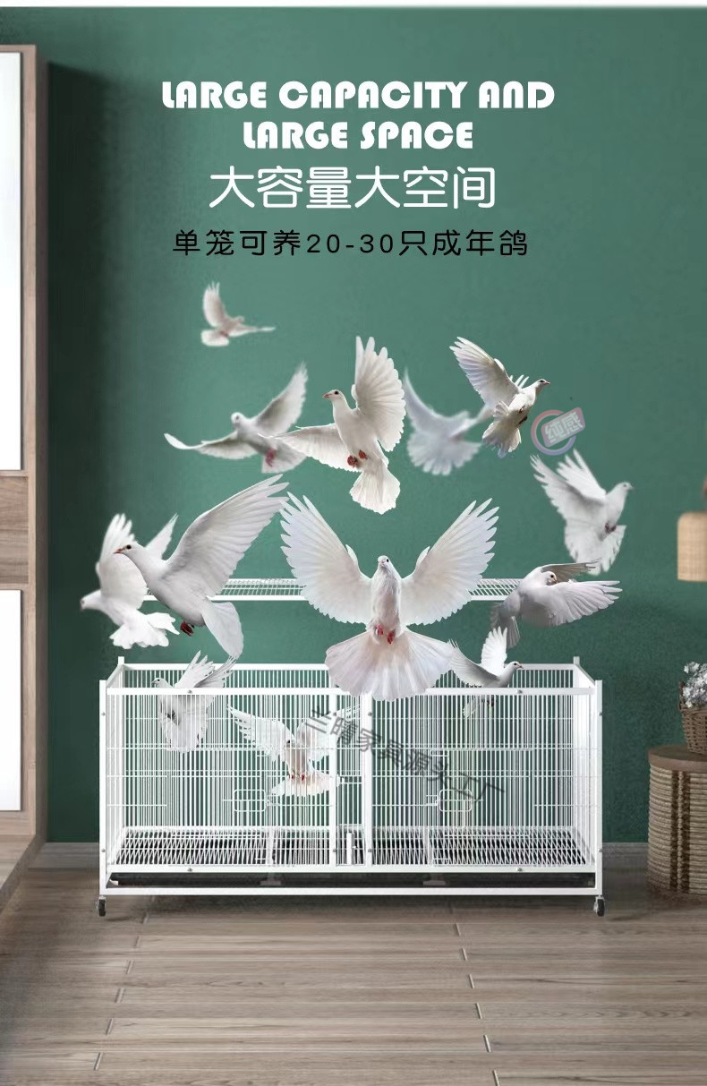 c070b1c1-d203-40ca-b70d-3ad729a5f009.jpe