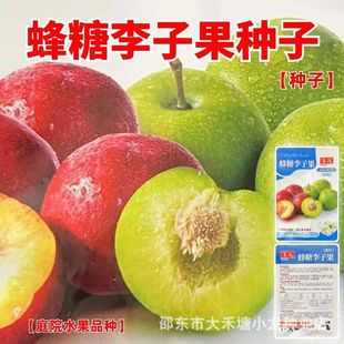 �������ӹ��N�ӻ�ɫ�������ͺ���Ʒ�N���Ե����ϱ����Nֲ����Y��