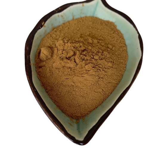 2024 Factory High-Quality, Good Price Beverage-Grade Aroma-Intense Jujube Extract Yellowish-Brown Powder Easily Soluble