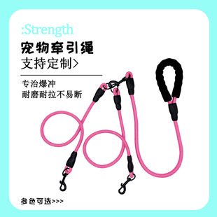 Dog Leash for Walking Two Dogs, Double-Ended Leash for Small and Medium-Sized Dogs, Teddy Pomeranian Outdoor Pet Supplies
