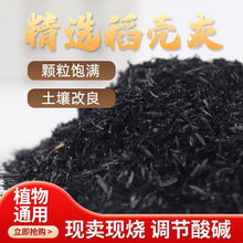 ����̿ľ�ҷ��ϻҹȚ�̼���|�Է��x�I�B���@ˇ�ô��l�羳һ�����l