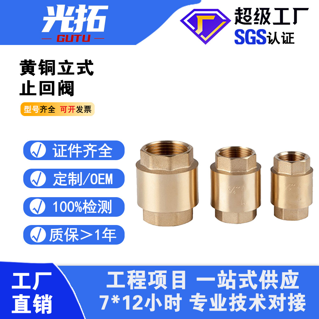 隔膜式弹簧逆止阀 单向立式黄铜止回阀 内丝单向止回阀门