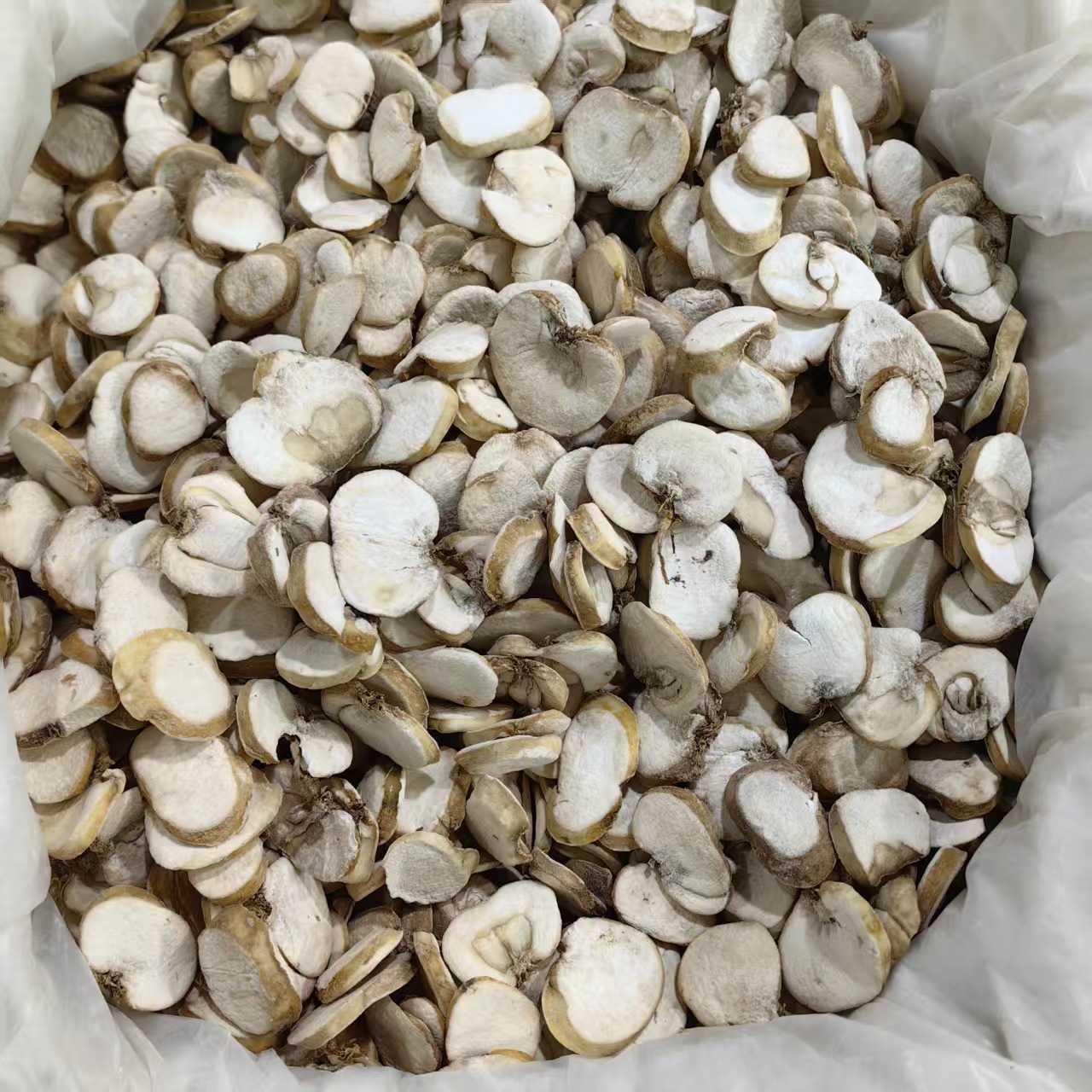 Zhejiang Fritillaria Bulb Powder Zhe Bei Mu 500g Traditional Herbal Ingredient specifications