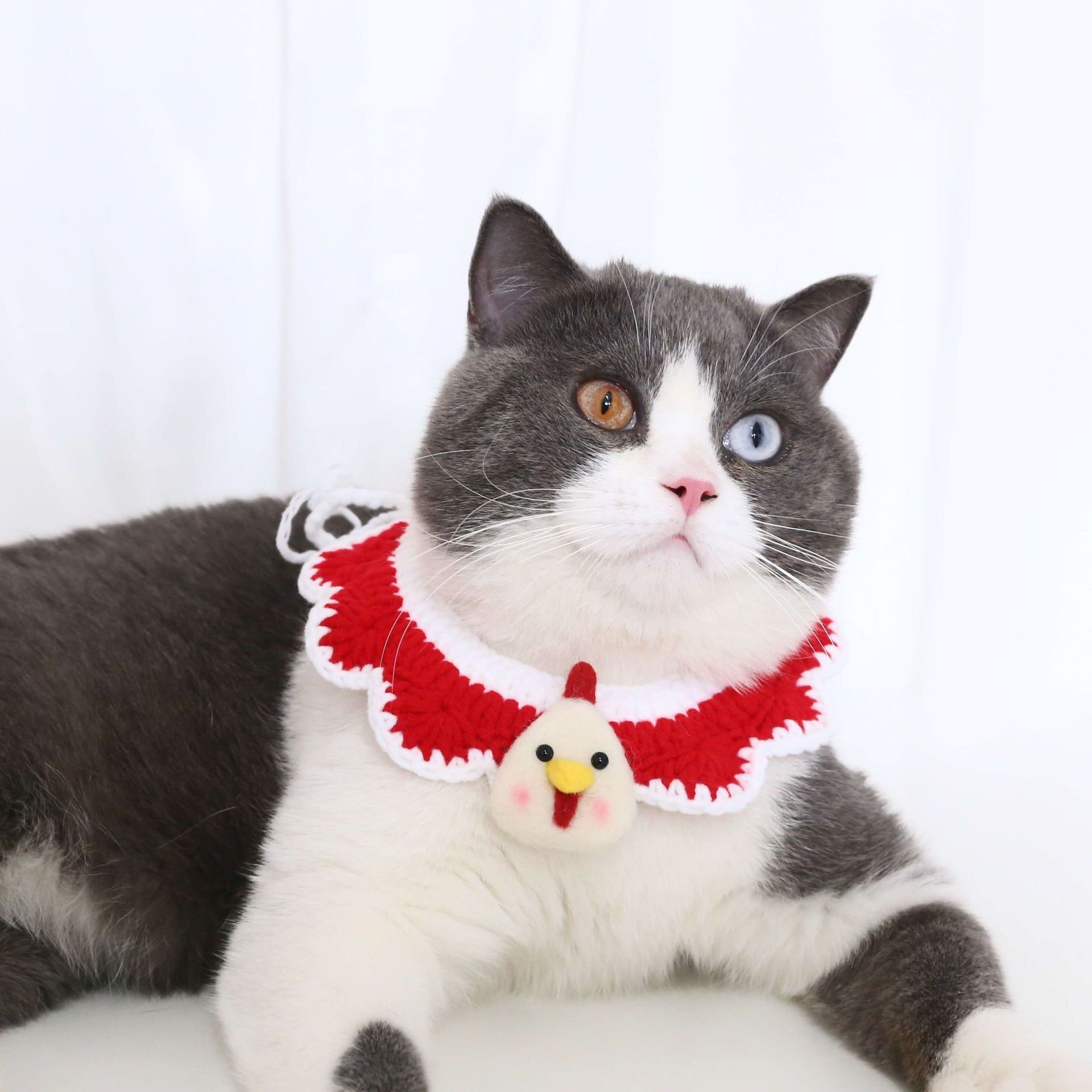 Mascotas gatos perros conejos ganchos de mano lana de punto de dibujos animados bufandas collar de oso guillones de Navidad