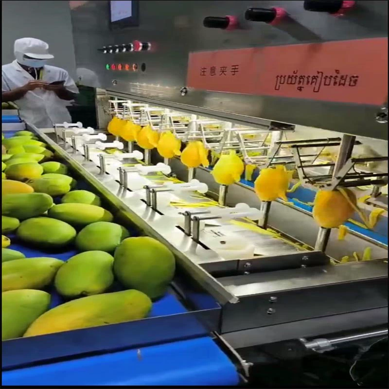 Автоматическая машина для очистки манго, устройство для очистки зеленого манго, оборудование для обработки сушеного манго, машина для очистки ананаса, таро и редиса