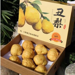 正宗中华丑梨丑八怪梨烟台新鲜水果当季软糯多汁薄皮甜梨子太婆啤-阿里巴巴
