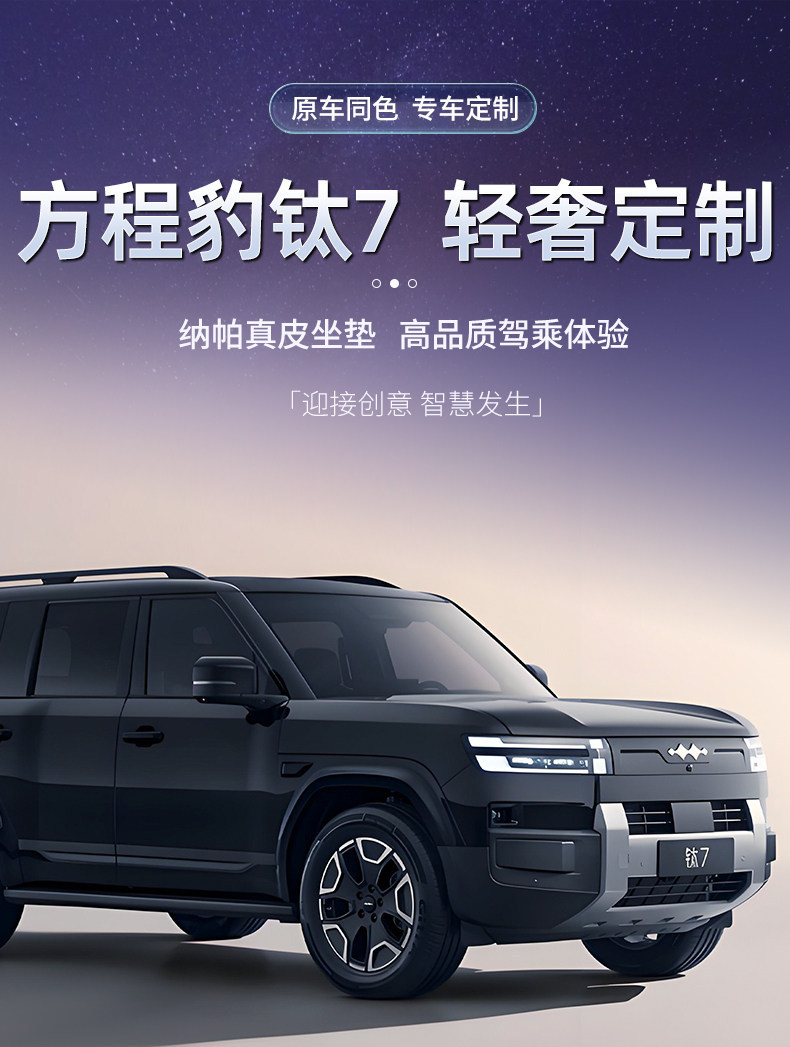 Suitable for 26 Models of Fang Cheng Bao Titanium 7 Car Seat Cushions, Universal for All Seasons, Modified Seat Cushions, Titanium 7 Accessories, Interior Seat Covers