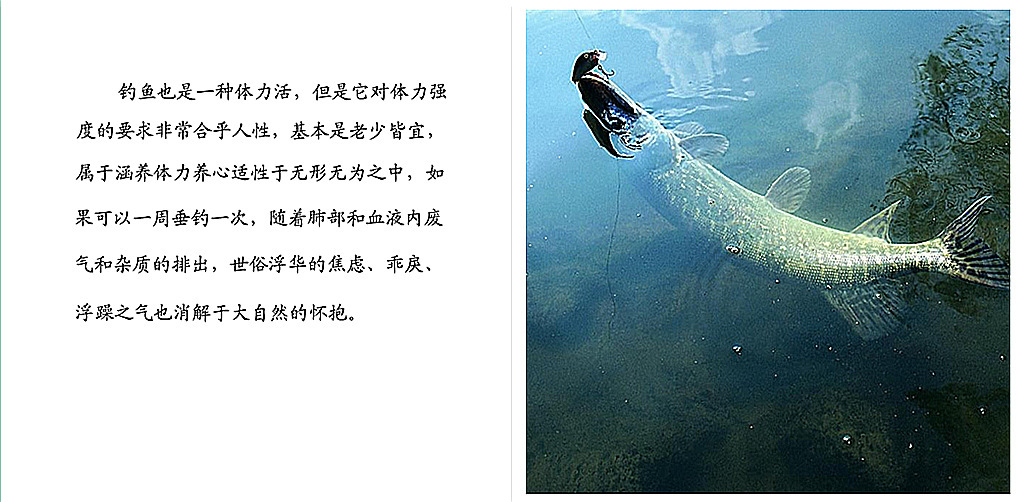 文字描述+钓鱼图3