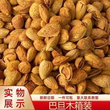 ���������}�h��Ƥ�͵�ľ���l250g �������_�ڳ�؛��Ƥ�ք��͵�ľ
