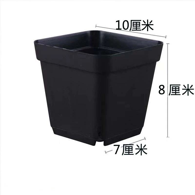 Black square plastic plant pot, thickened walls, nursery/seedling pot, stackable