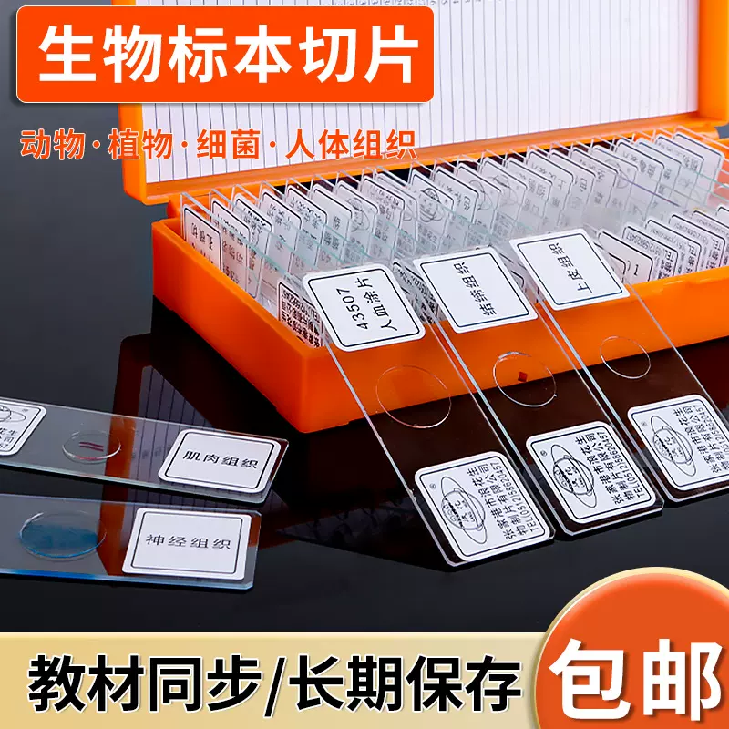 生物切片标本动物植物细胞切片套装显微镜玻片5片装教学实验器材